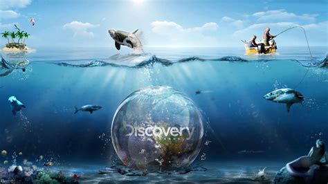 Discover Popular Videos .